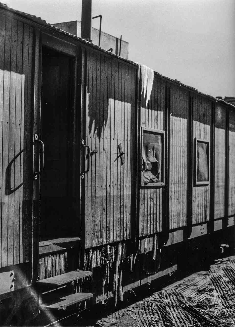 Photo du train sud américain